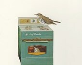 Ovenbirds in their natural habitat.  Collage print by Vivienne Strauss.