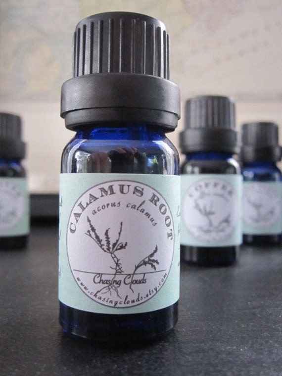 calamus-root-essential-oil-an-ingredient-in-the-by-chasingclouds