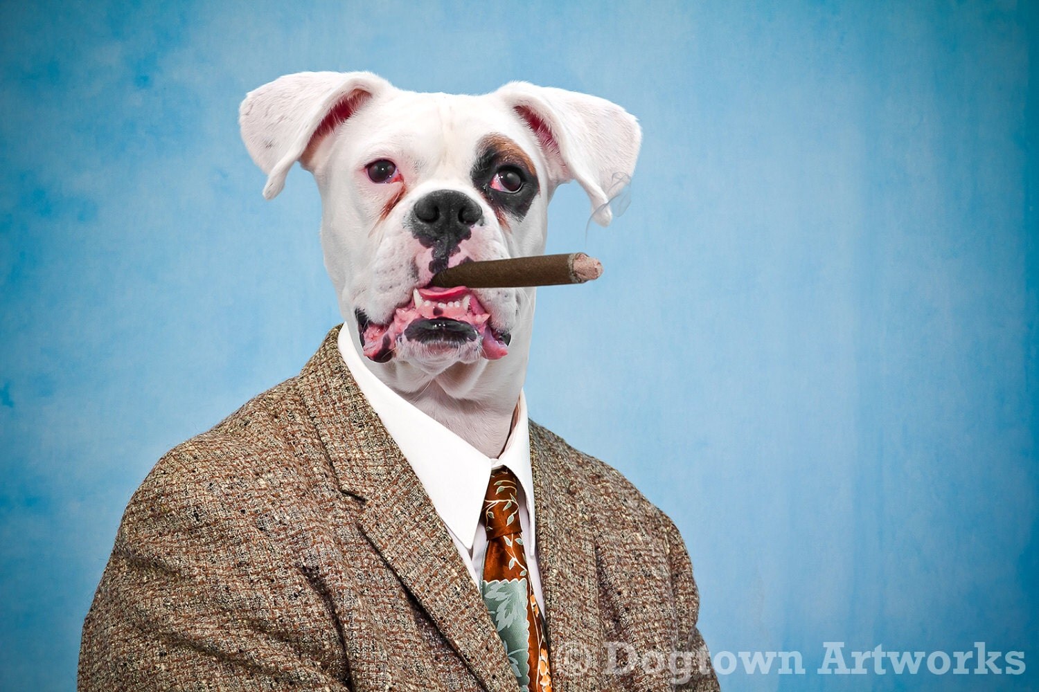 The Executive large original photograph of Boxer dog smoking