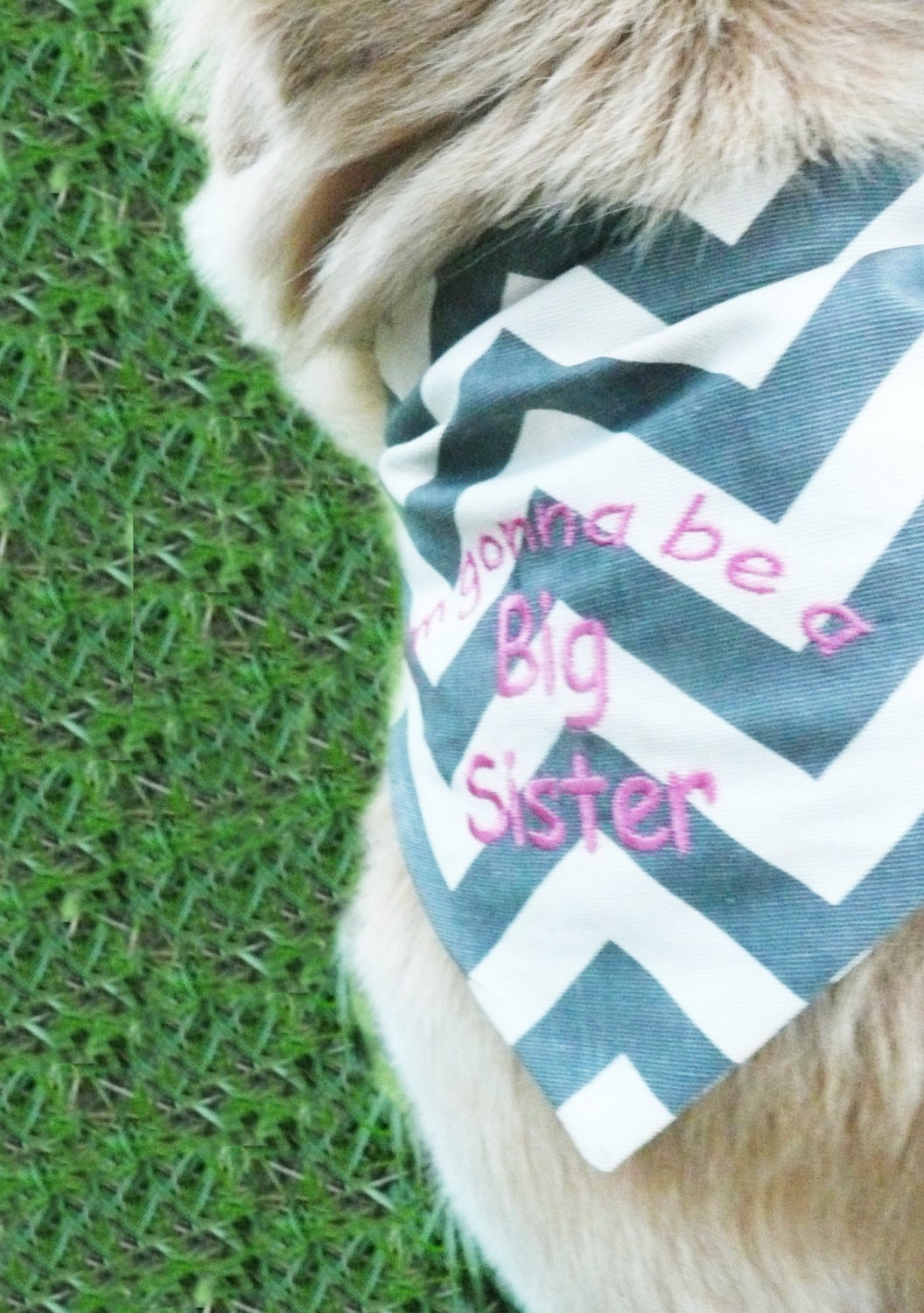 dog bandana baby announcement chevron dog bandana