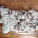 BIG DADDY LILAC Jacob Sheep hide