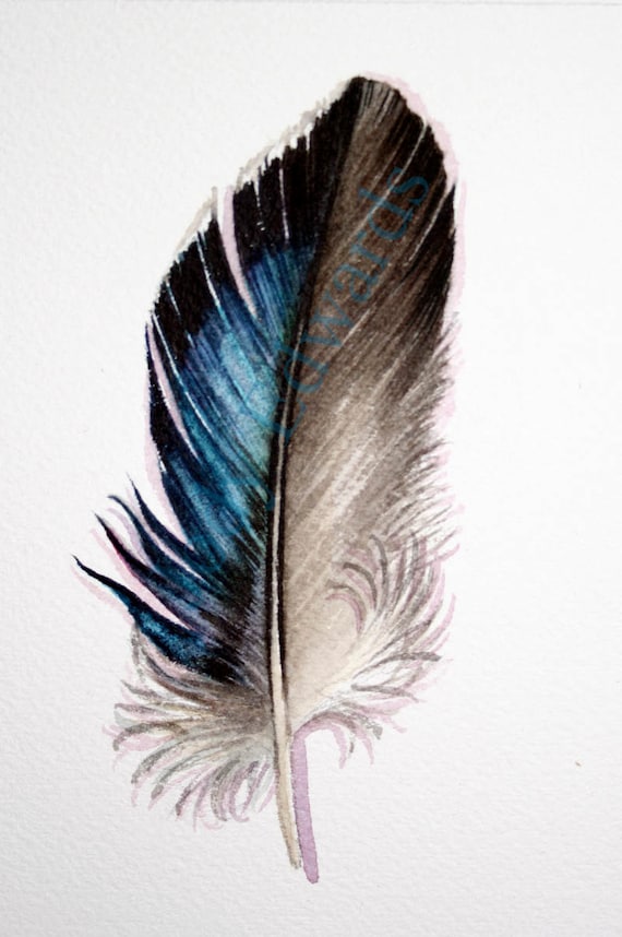 Mallard Feather Original Watercolor feather study