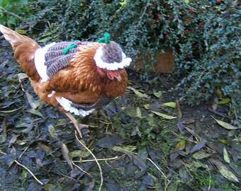 Items similar to Charity knitting pattern Chicken Coat on Etsy