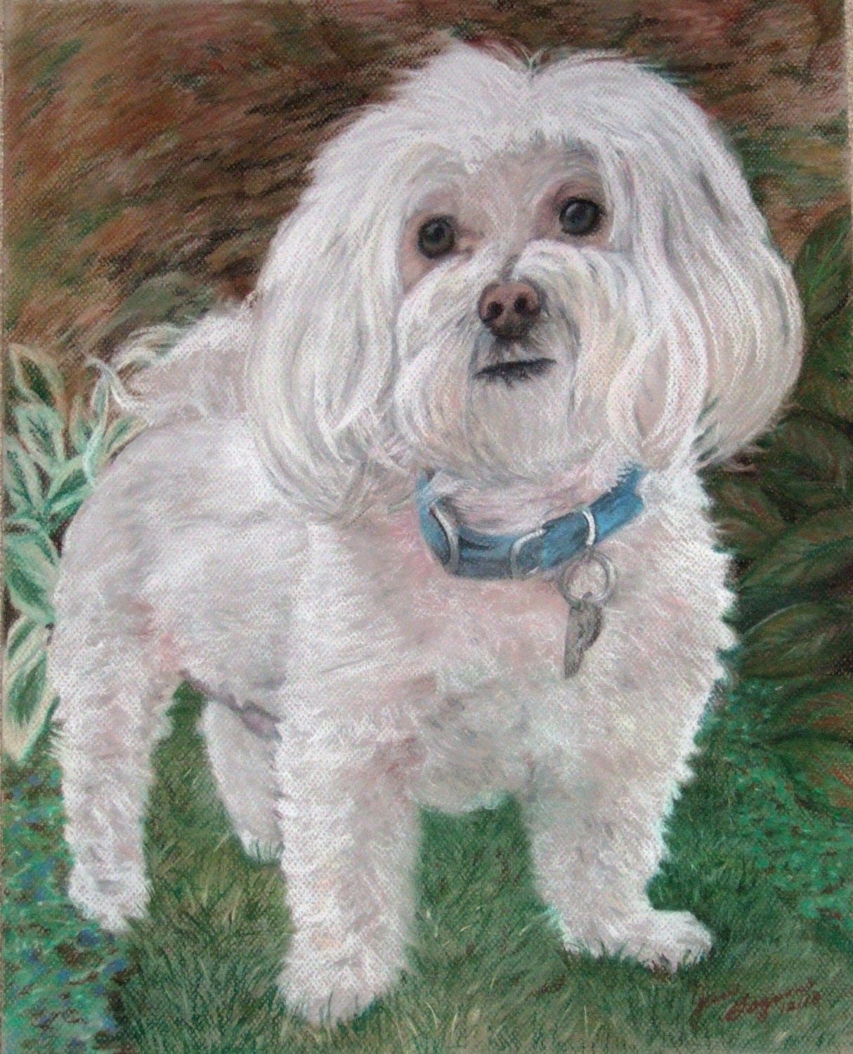 Maltese Custom Dog Portrait Custom Pet Portrait from a