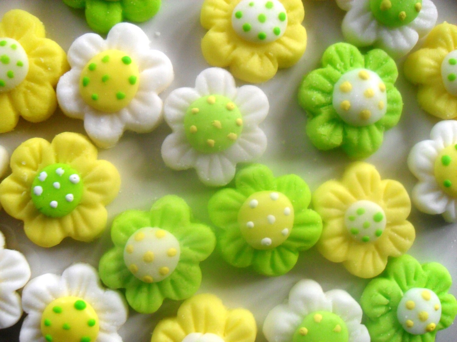 DAISY MINTS Special Occasions Weddings Parties 6 dozen