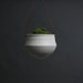 Hanging Planter - Handmade Ceramic Planter