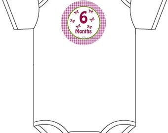 Baby month stickers, girl monthly sticker, butterfly month to month stickers, baby shower gift stickers, month to month baby stickers