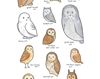 owl prints an illustration series by 100owls on Etsy