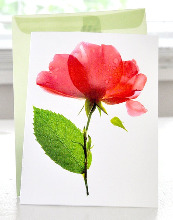 Floral Greeting Card Pink Rose flower Note Card Alice Rose Pink
