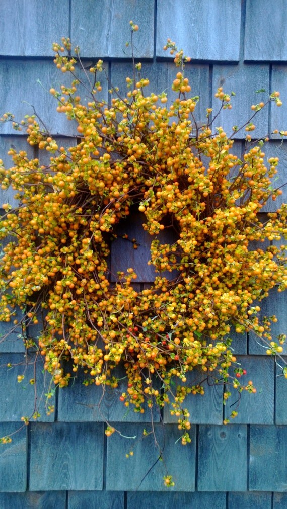 Fresh Bittersweet Wreath Perfect For Fall SEASONAL ONLY