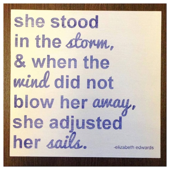 She Stood in the Storm & when the Wind did not Blow her Away