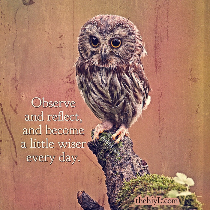 Observe and Reflect 8x10 Metallic Photo Paper Print