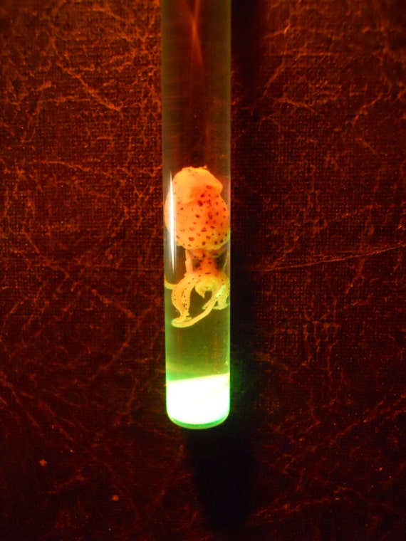 Green Glow in the Dark Squid Radioactive Cthulhu by TheCuriositeer