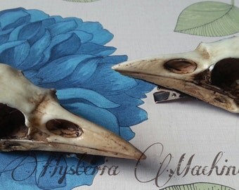 Crow Skull Hair Clip