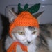 Cat or Dog Pumpkin Hat Halloween Costume Party Hat Crocheted Kitty Hat Ready to Ship