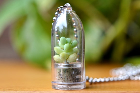 Succulent terrarium pendant necklace