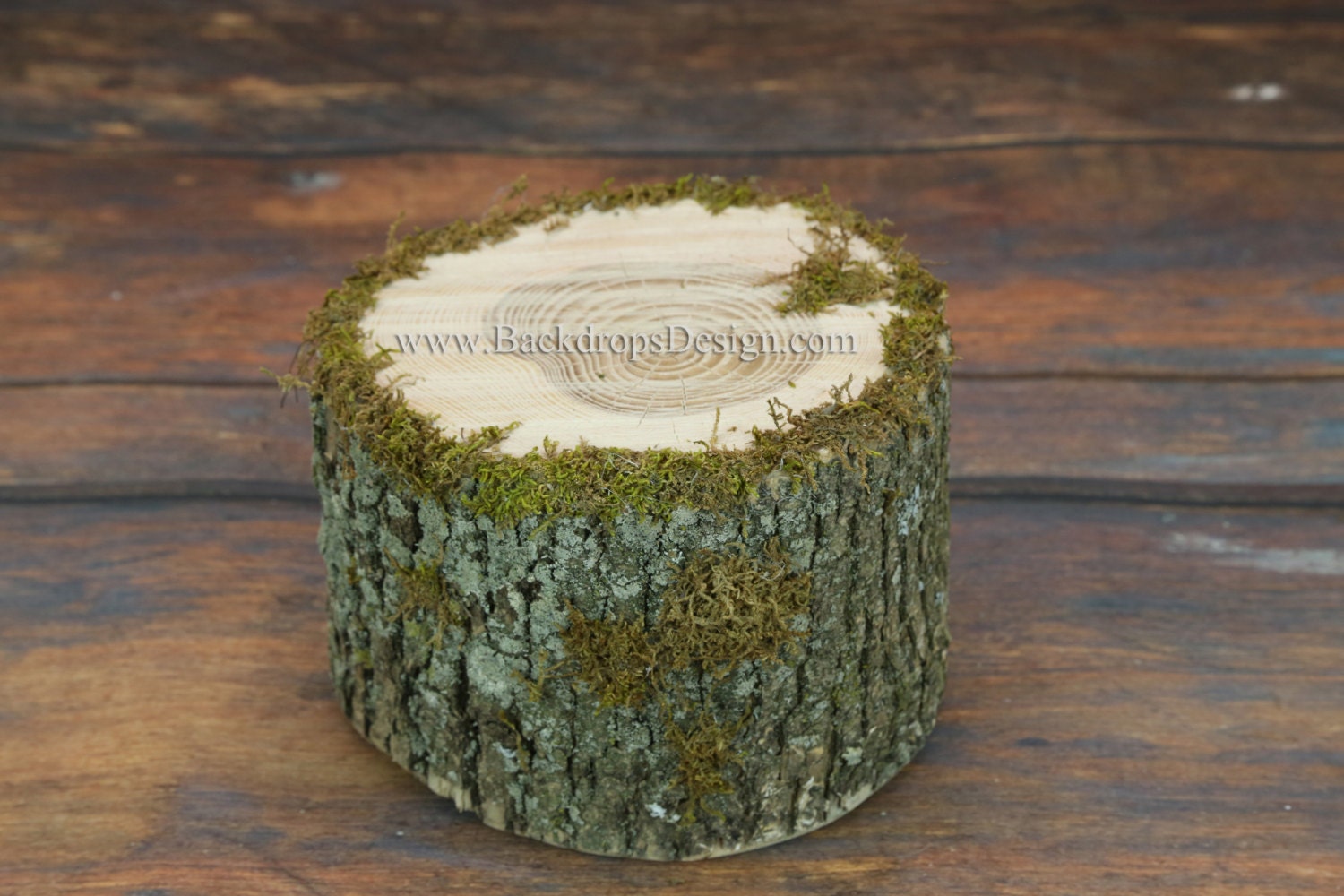 Photo Prop Stump for our Log bed Newborn photography prop hand