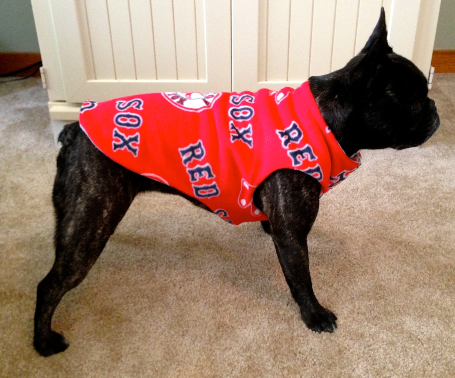 red sox dog jacket