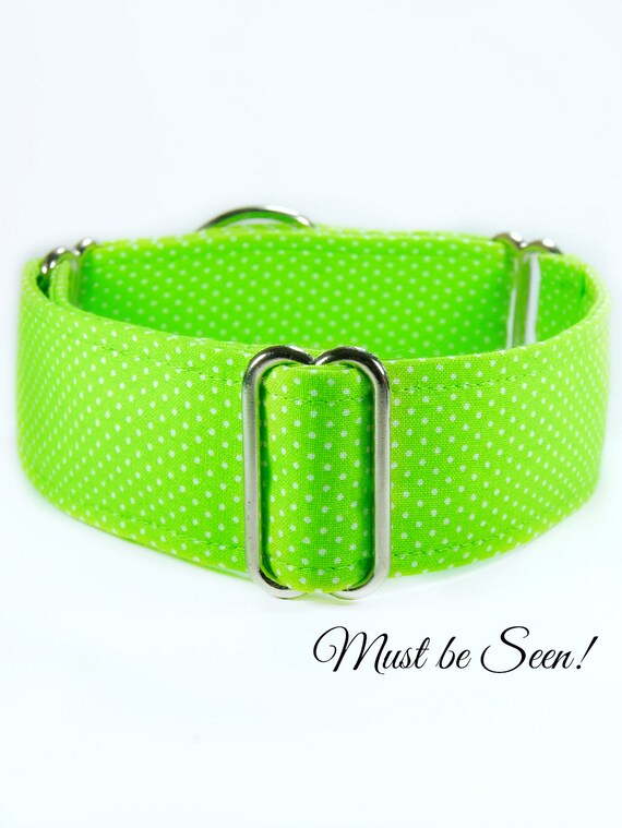 Lime Green Dog collar martingale collar buckle by CollarTown
