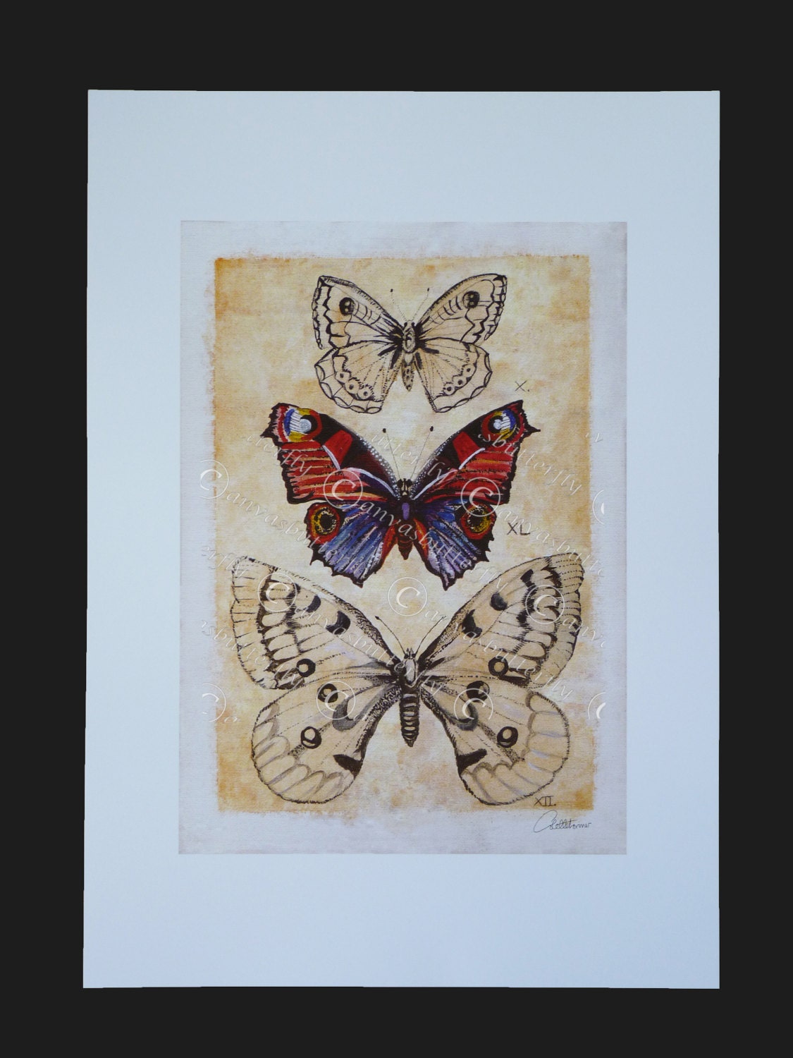 Butterfly Painting Butterfly Wall Art Butterfly Decor