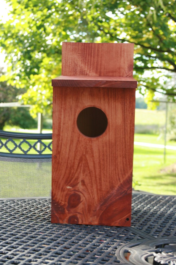 Screech Owl Nesting Box