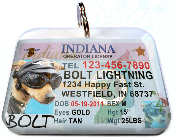 indiana drivers license check