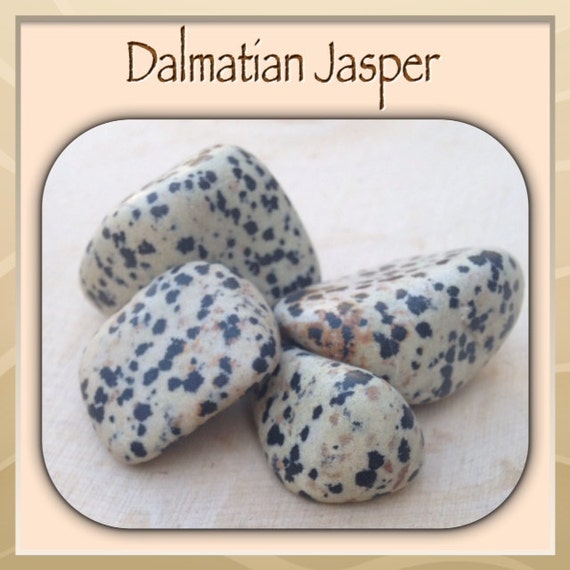 dalmation jasper uses