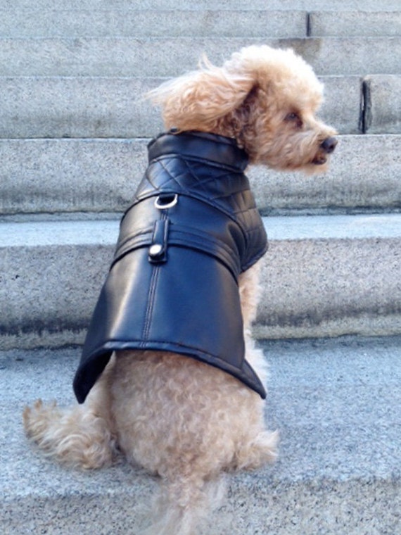 Items similar to Lauren Faux Leather Dog Jacket on Etsy