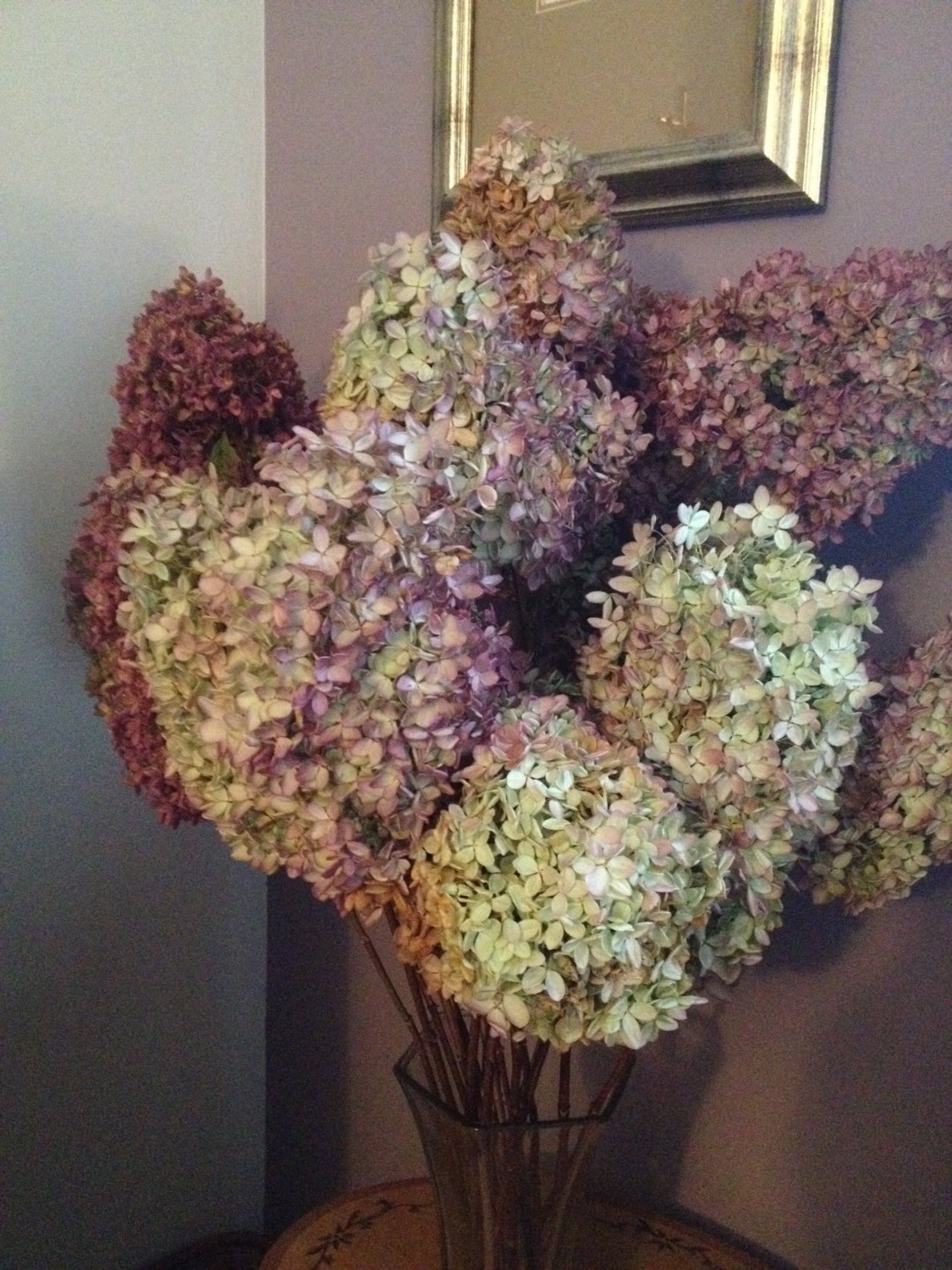 dried hydrangea flowers