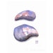 Original watercolor study of Mussel shells - Pink and lavender original painting - 3,5 x 5 inches