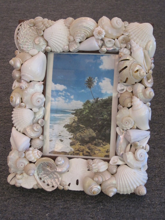 Beach Decor Seashell Picture Frame Shell Frame by LiveCoastal