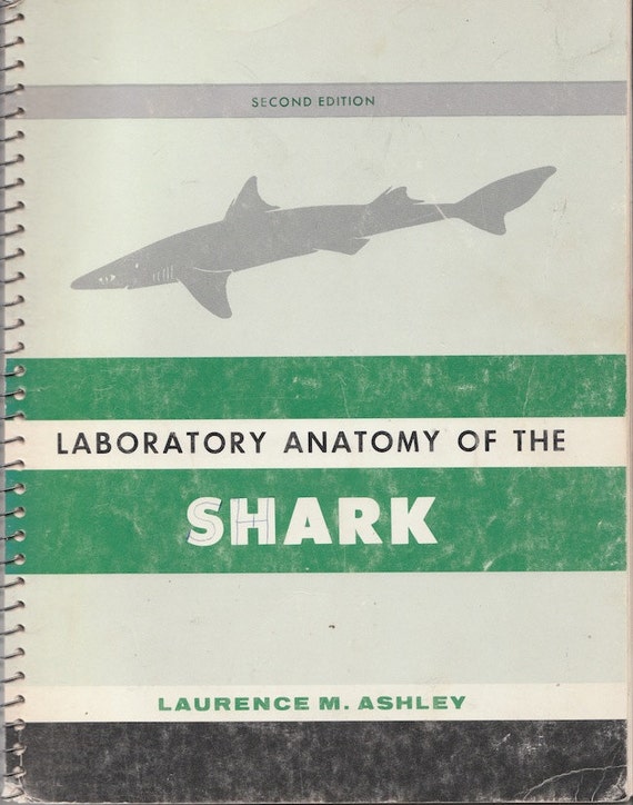 1960s Shark Dissection Lab Manual Vintage Textbook College