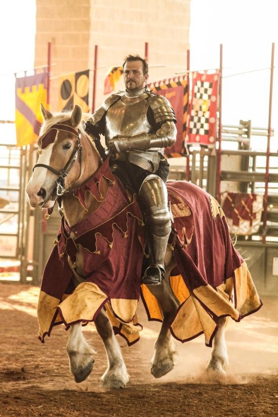 Jousting saddle pad Medieval horse trappings caparison