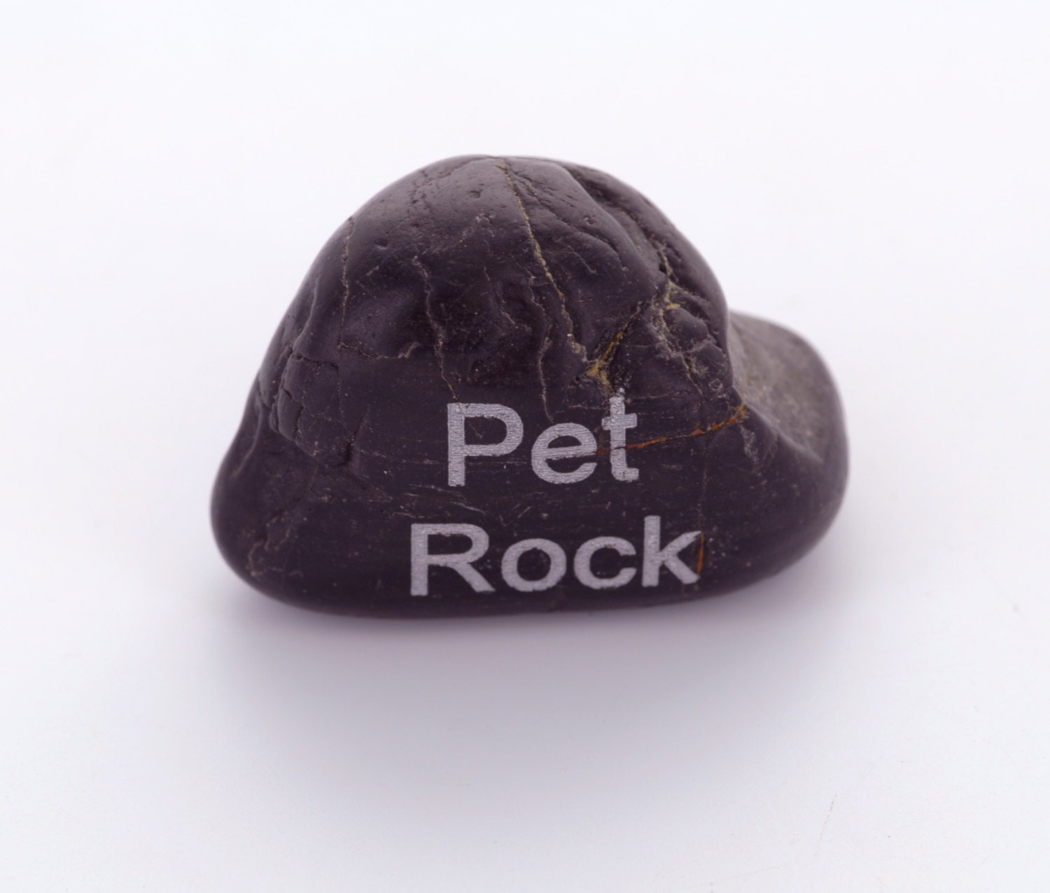 PET ROCK Laser Engraved Black Stone . Easiest pet you'll