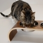 Walnut veneer bent-ply double feeder for cats