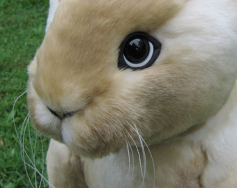 Soft Sculpture Real Bunny Rabbit PATTERN by Emma's Bears - Instant PDF