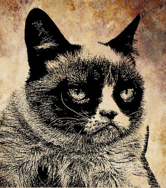 Кот хмурый рисунок