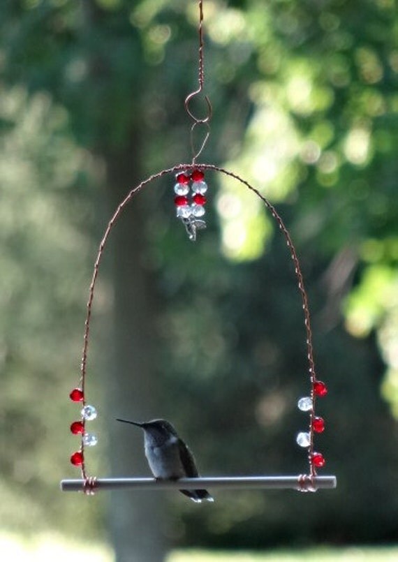 hummingbird perch hummingbird perch