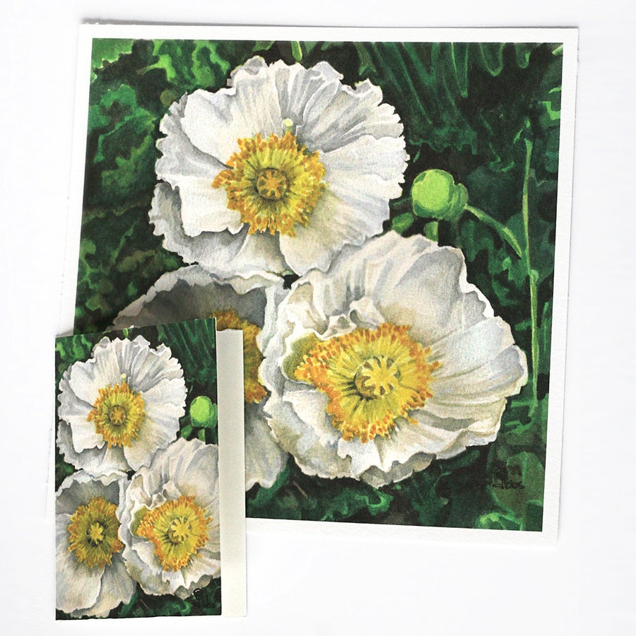 white poppies art print poppy watercolor flowers by favoriteflower