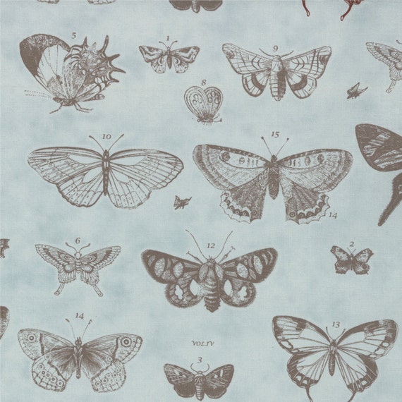 Butterfly Fabric 3 yds PAPILLON etchings Moda by melodyoftheheart