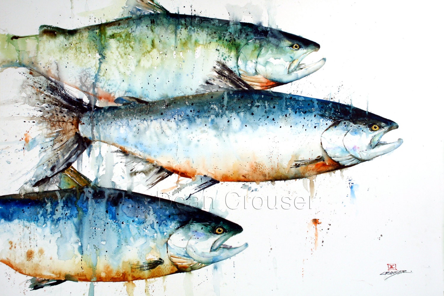 SALMON Watercolor Fish Art Print Salmon Painting Fish Print