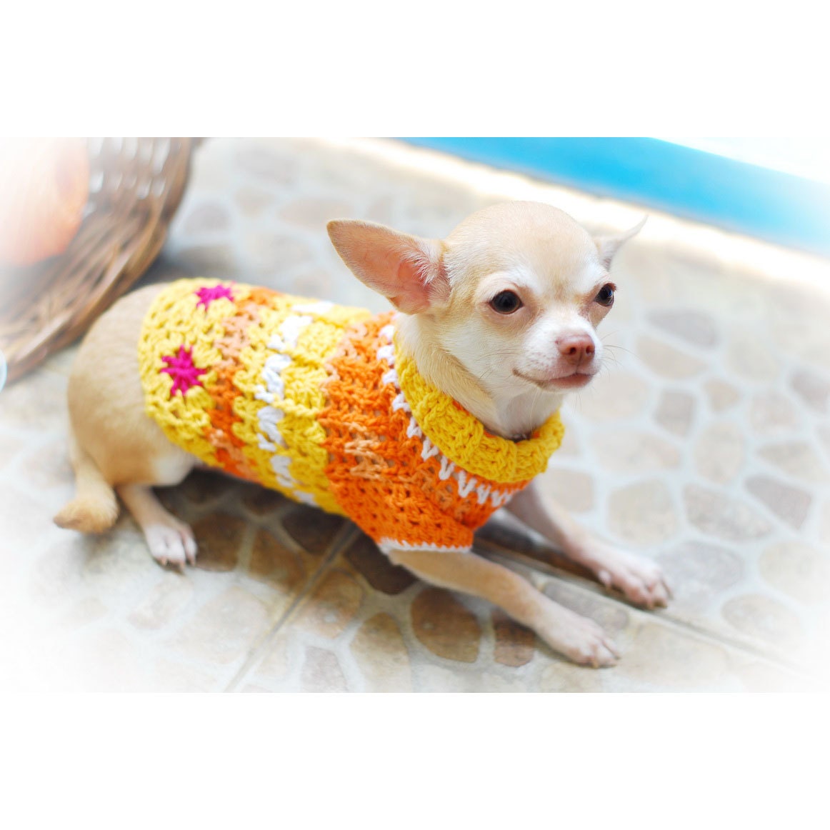 clothes for dogs clothes unique crochet pet clothing orange flower clothes for dogs clothes unique crochet pet clothing orange flower