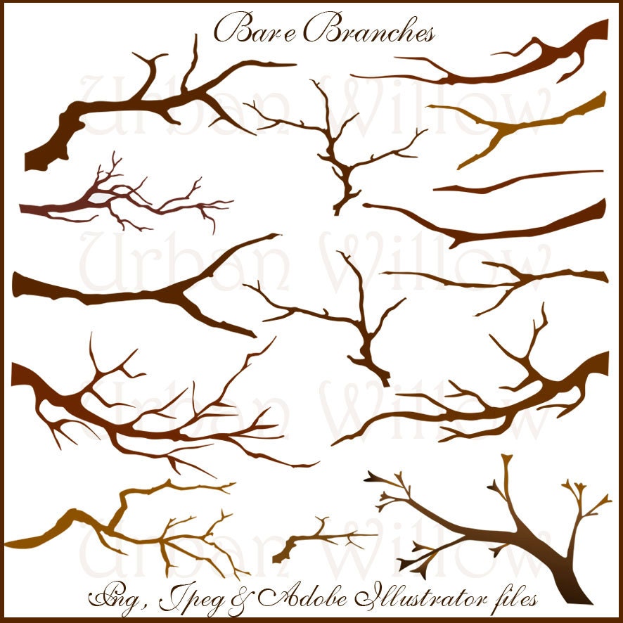 BARE BRANCHES 15 clip art rustic branches Png Jpeg & Adobe