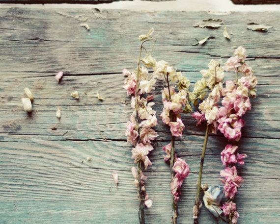Teal Rustic Wall Decor Flower Print Pink And Teal Rustic Wall Decor Flower Print Pink And