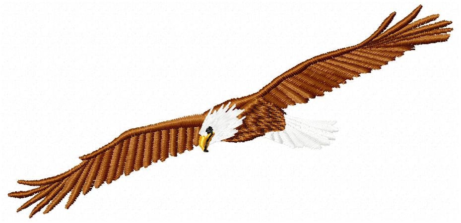 free clipart of eagles soaring - photo #33