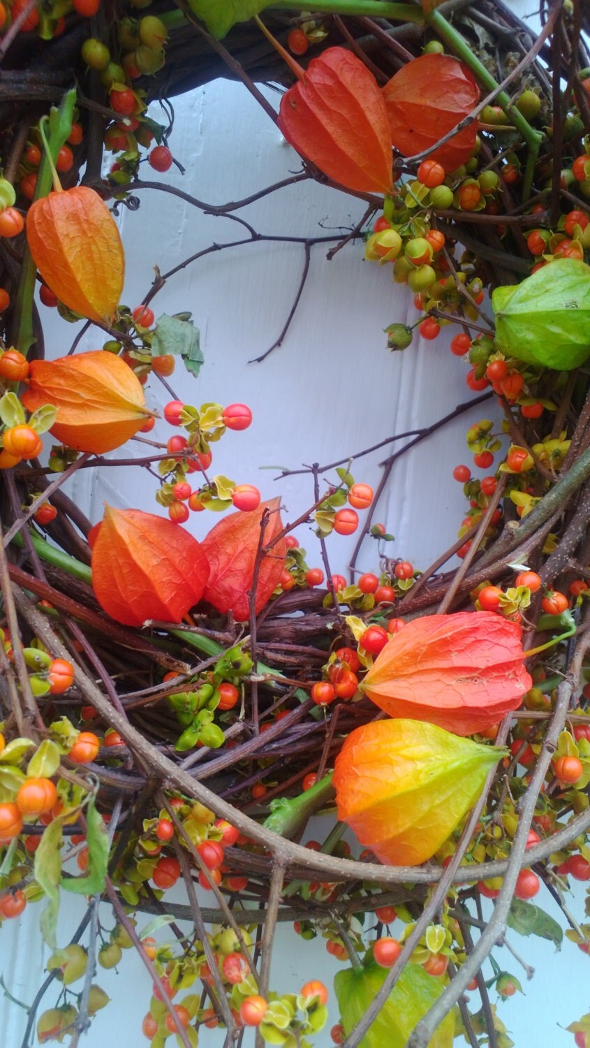 Fresh Bittersweet and Japanese Lantern Wreath Harvest Wreath