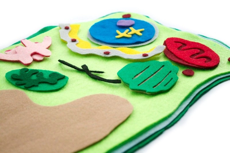 Plant Cell Model Felt Set Science Toy Homeschool Biology