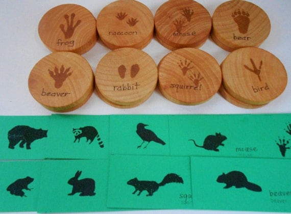 Kids woodland forest animal tracks footprints memory matching