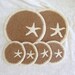 Wool Felted Coasters and Two matching Trivets with Starfish Needle Felted Design RESERVED