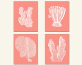 Pink Coral, Sea Coral Art, Sea Coral, Print Set four prints Coral Wall Art, Coral Print, Sealife print , Pink Coral